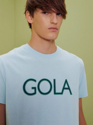 REMERA INSTITUCIONAL CELESTE