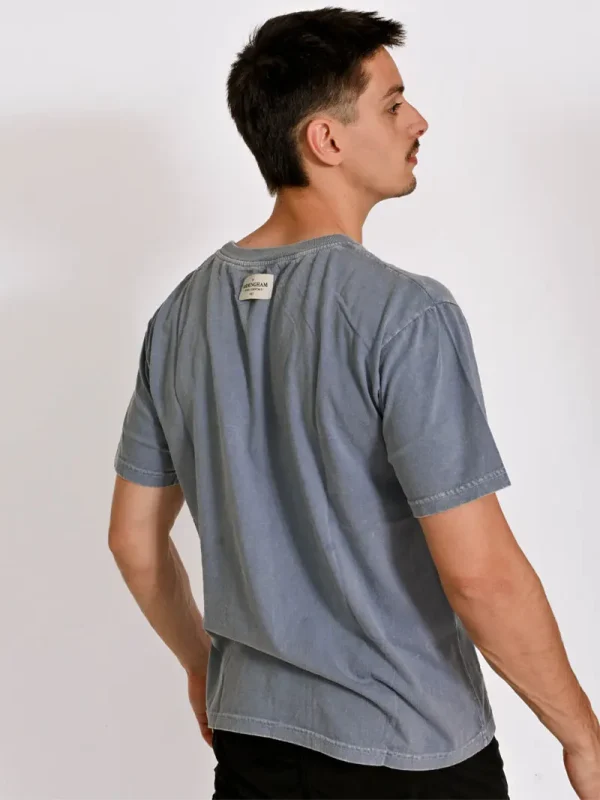 REMERA ROVER - Imagen 2