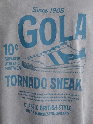 REMERA JERSEY PESADO ESTAMPADA GRIS CLARO