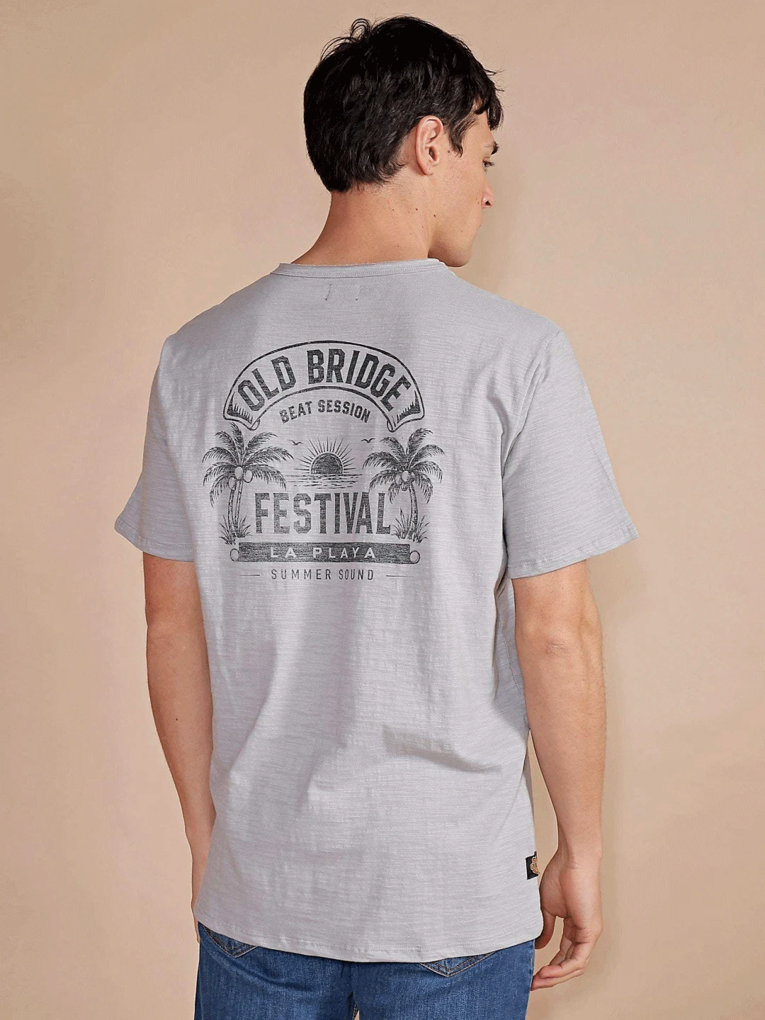 REMERA FESTIVAL GRIS CLARO