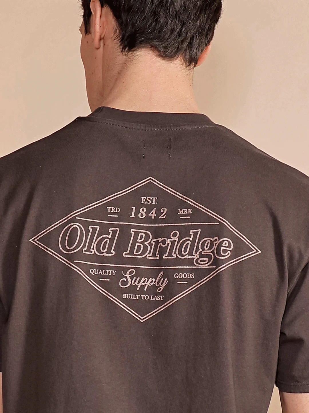 REMERA SUPPLY V27 MARRON OSCURO - Imagen 3